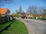 Třibřichy